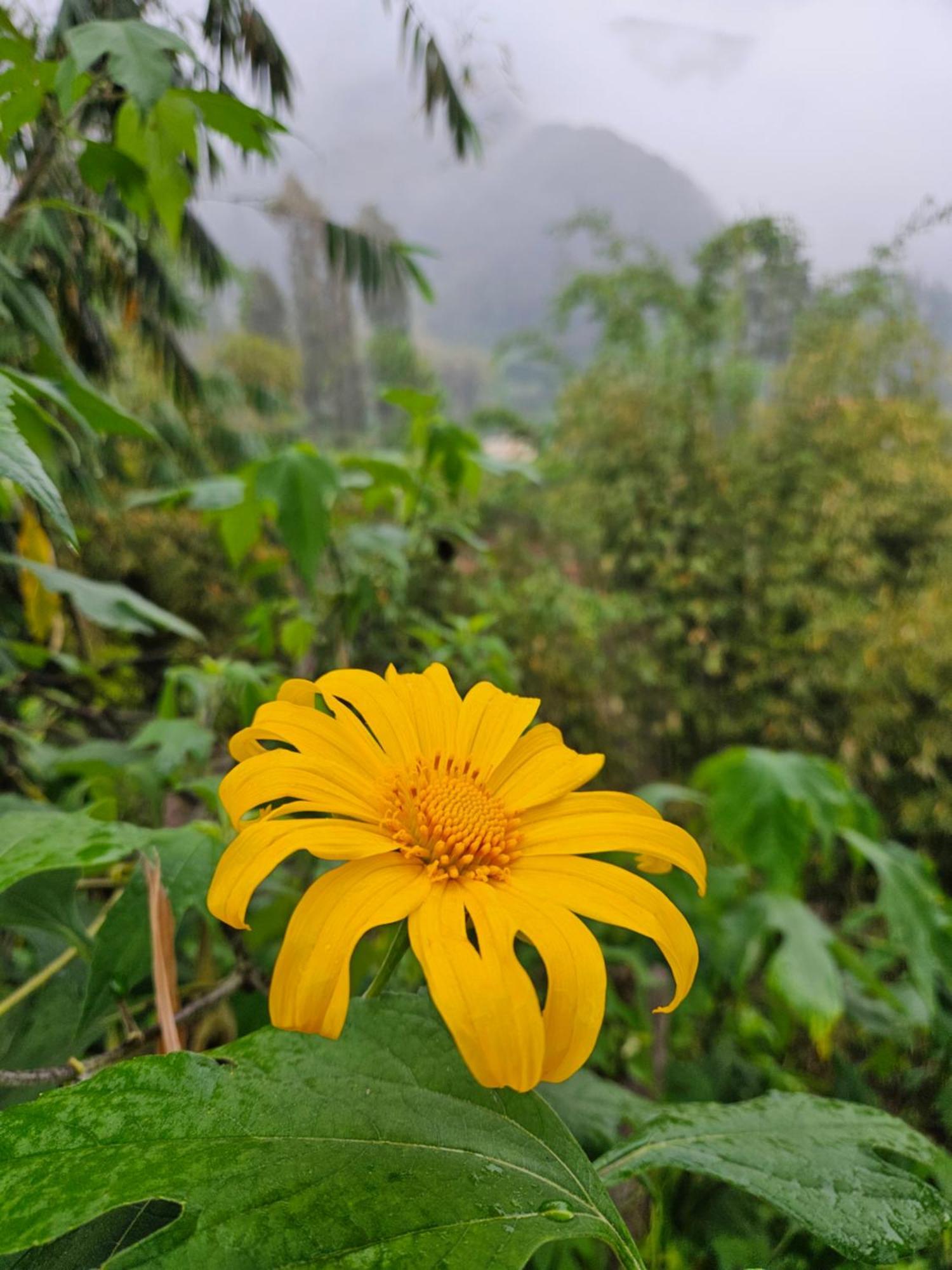 Arum Bromo Villas Ngadisari Екстериор снимка